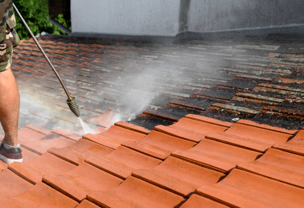Local Pressure Washing Services in Oronoco, MN