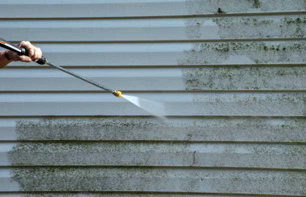 Best Pressure Washing Cost  in Oronoco, MN