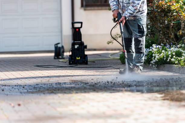 Best Pressure Washing Siding  in Oronoco, MN