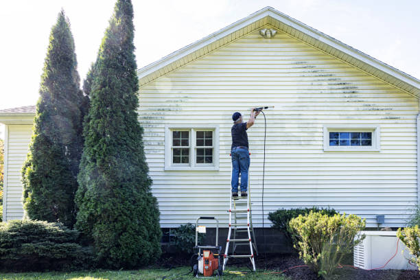 Pressure Washing Contractors in Oronoco, MN