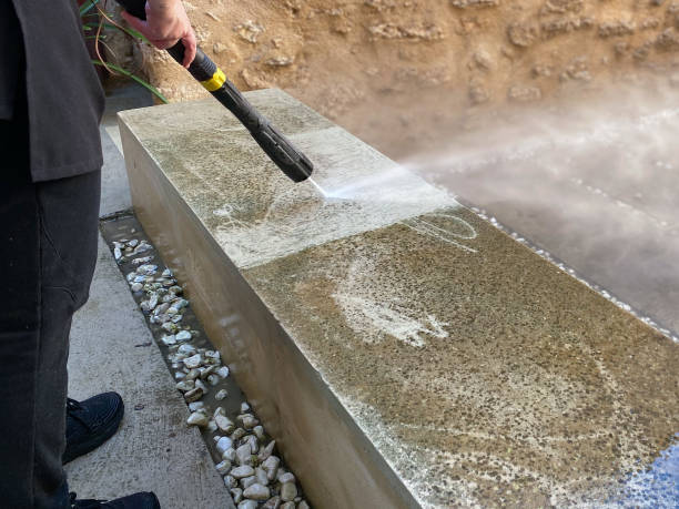 Best Deck Cleaning Services  in Oronoco, MN