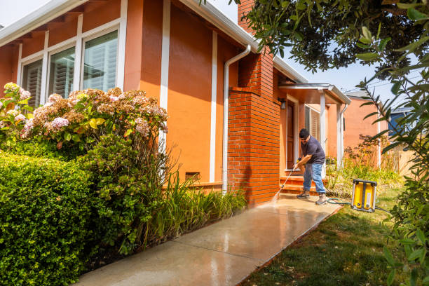 Best Pressure Washing Near Me  in Oronoco, MN