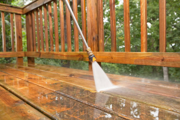 Best Commercial Pressure Washing  in Oronoco, MN