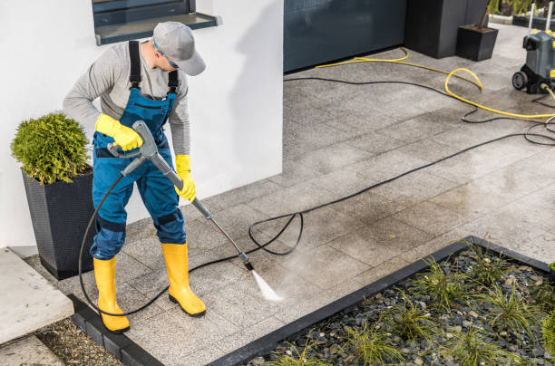 Best Garage Pressure Washing  in Oronoco, MN
