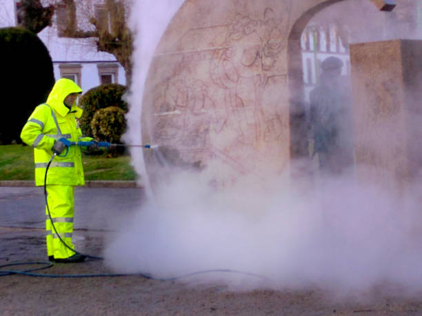 Best Residential Pressure Washing Services  in Oronoco, MN