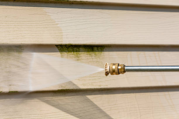 Best Deck Pressure Washing  in Oronoco, MN