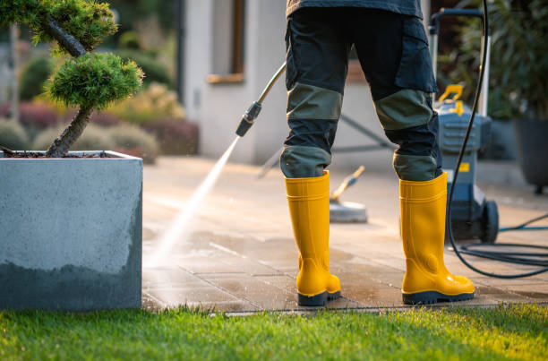 Best Exterior Home Cleaning  in Oronoco, MN